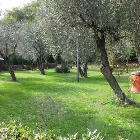 Gli Ulivi Bed & Breakfast Fosdinovo Dış mekan fotoğraf