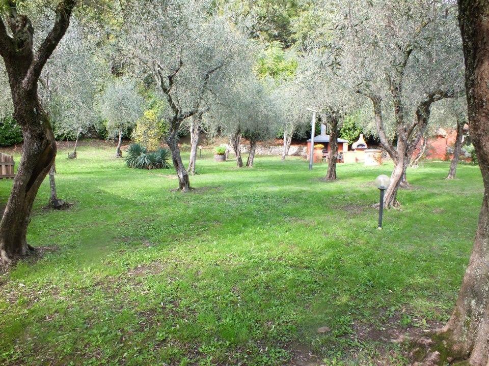 Gli Ulivi Bed & Breakfast Fosdinovo Dış mekan fotoğraf